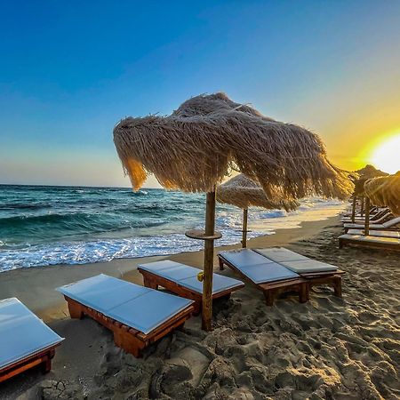 A 2 Passi Dal Mare Villa Porto Cesareo Eksteriør bilde